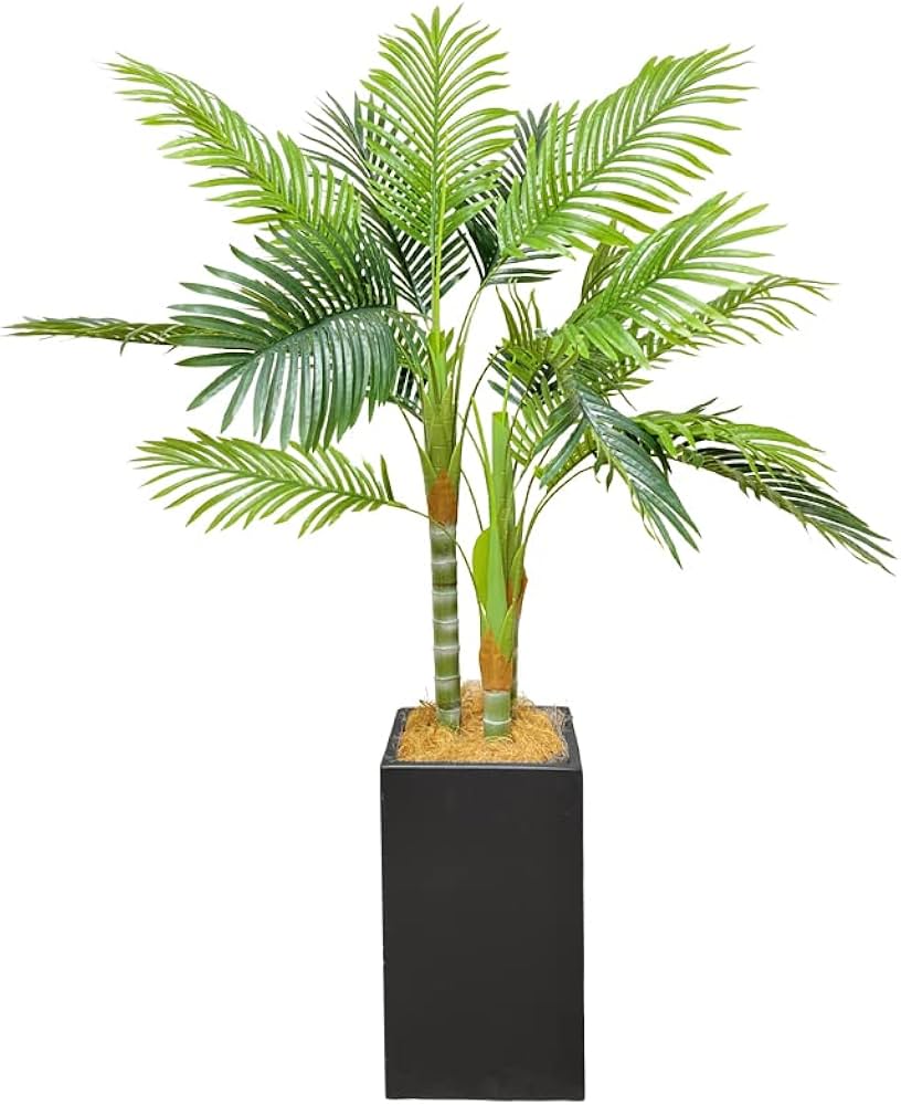 ヤシの木みたいなの観葉植物 若い芽付き 71zvyzkuxYL._AC_UF350, ヤシの木みたいなの観葉植物 若い芽付き 71zvyzkuxYL._AC_UF350,